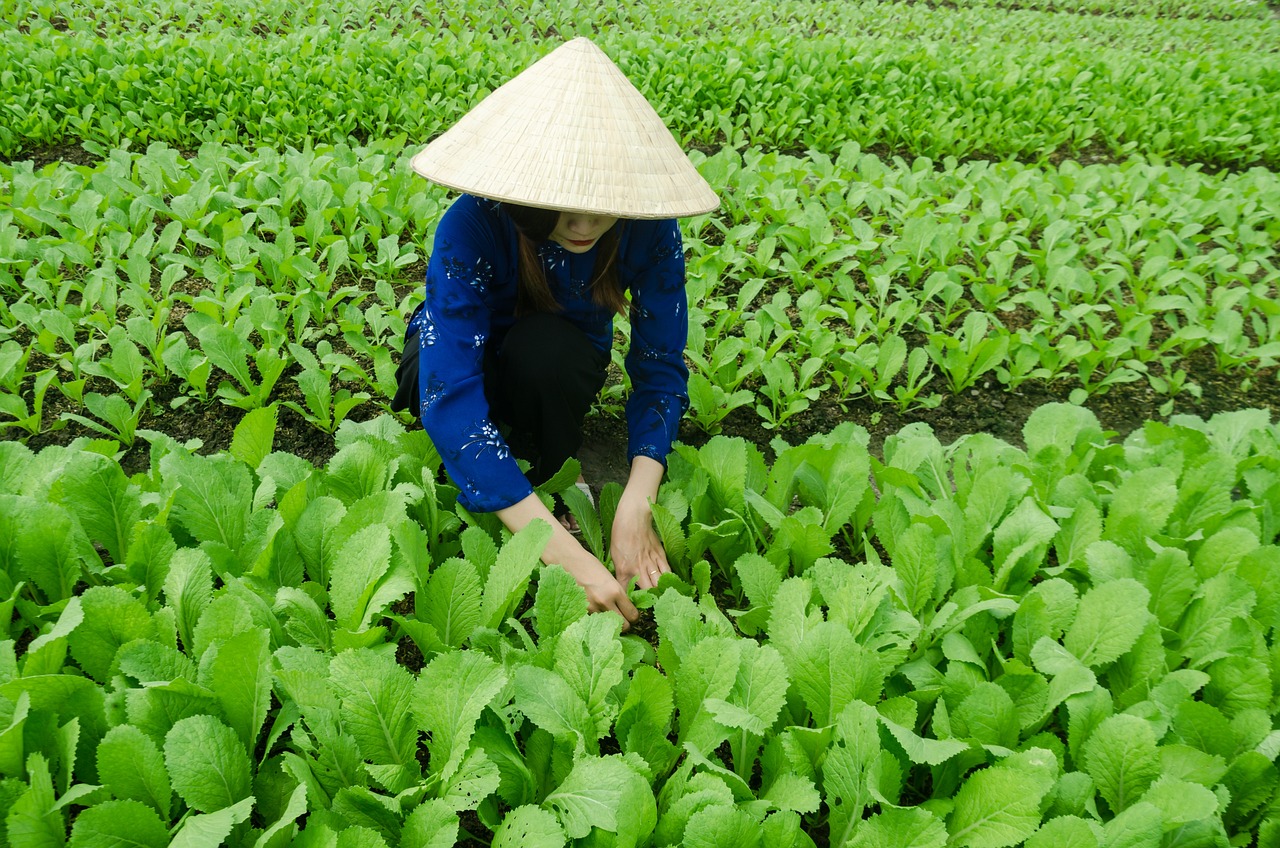 物料二代最新动态，发展趋势与挑战