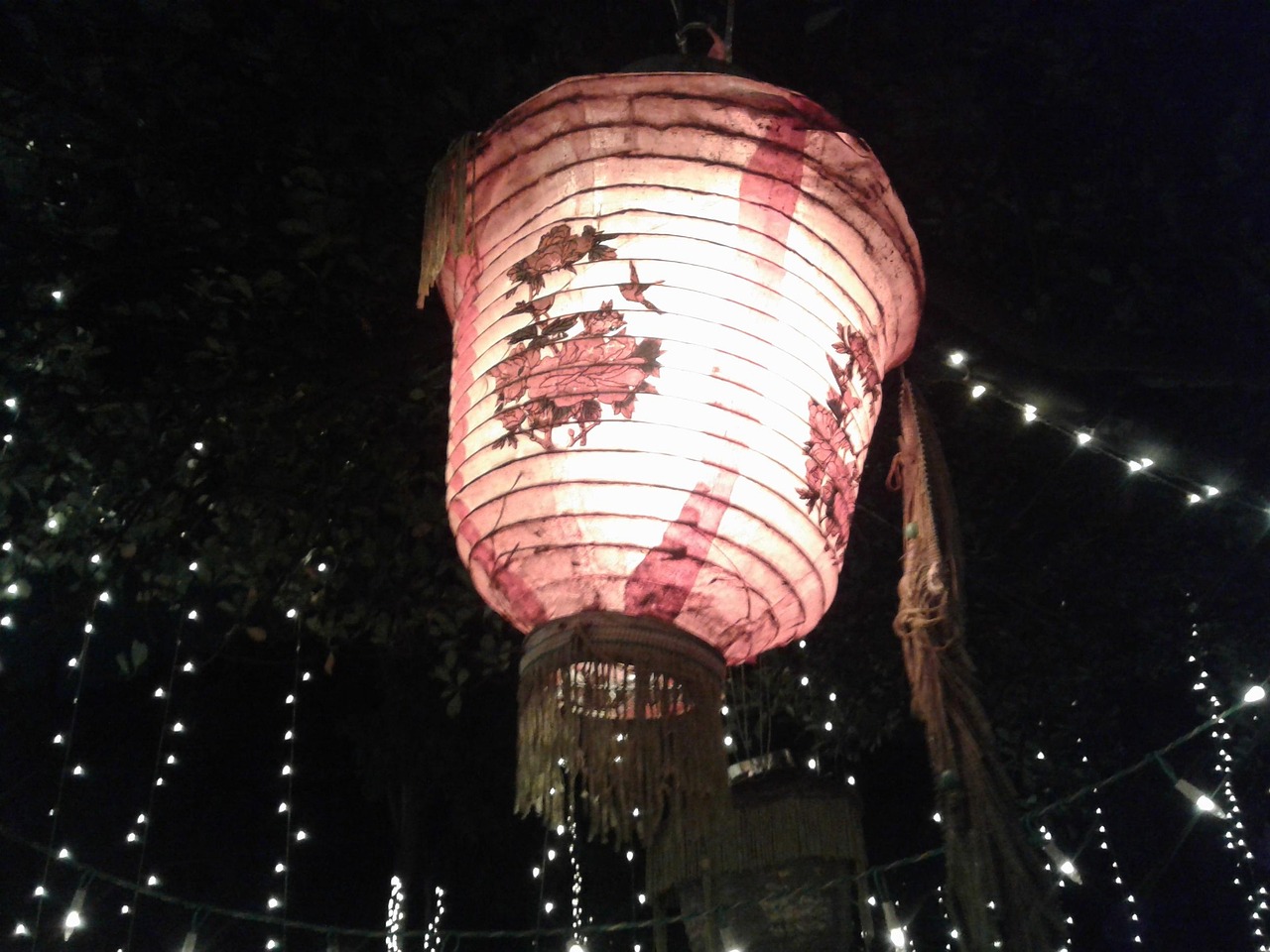 4月辽篮直播盛宴，期待与激情的碰撞之夜